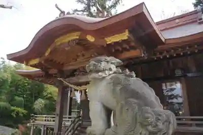素鵞神社の狛犬