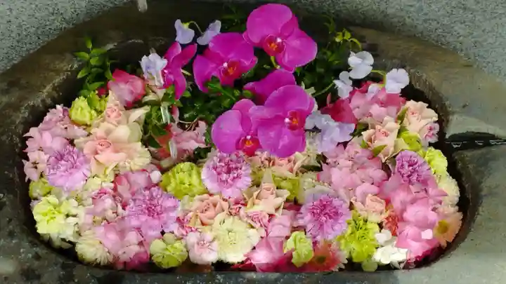 手稲神社(北海道)