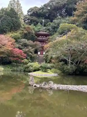 浄瑠璃寺(京都府)