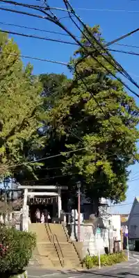 矢切神社の鳥居