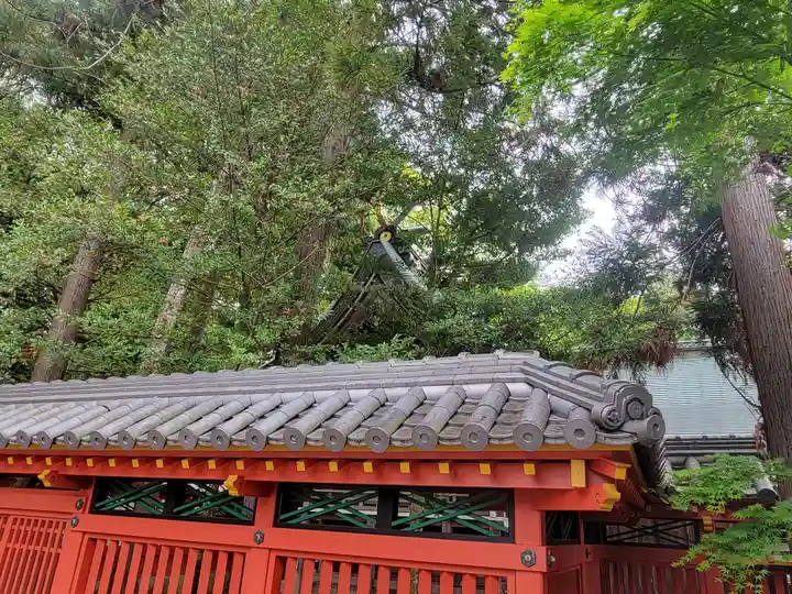 伊豫稲荷神社(愛媛県)