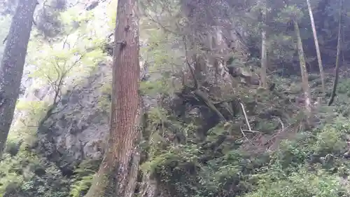 秋元神社の周辺