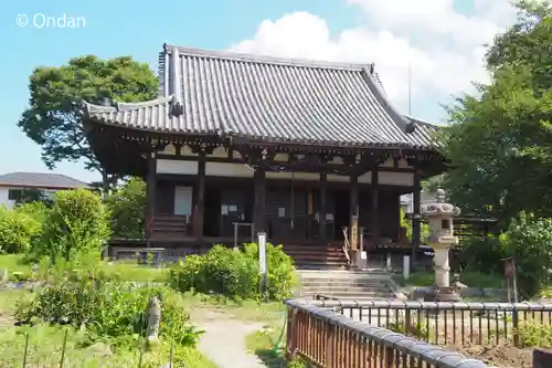 般若寺 ❁﻿コスモス寺❁(奈良県)