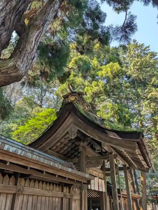 若狭姫神社(若狭彦神社下社)の{uncategorized: "未分類", other: "その他", undefined: "問題あり", building: "その他建物", grave: "お墓", sacred_gate: "鳥居", guardian: "狛犬", statue: "像", buddha: "仏像", history: "歴史", nature: "自然", garden: "庭園", animal: "動物", pagoda: "塔", temizu: "手水舎", mountain_gate: "山門・神門", sanctuary: "本殿・本堂", subordinate: "末社・摂社", art: "芸術", scenery: "景色", jizo: "地蔵", ema: "絵馬", goshuin: "御朱印", omikuji: "おみくじ", items: "授与品その他", amulet: "お守り", goshuincho: "御朱印帳", eats: "食事", festival: "お祭り", votive_dance: "神楽", shichigosan: "七五三参", wedding: "結婚式", experience: "体験その他", initially: "初詣", around: "周辺", anti_infection: "感染症対策"}