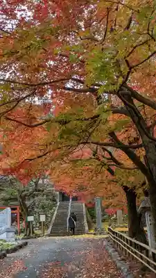 岩屋寺(京都府)