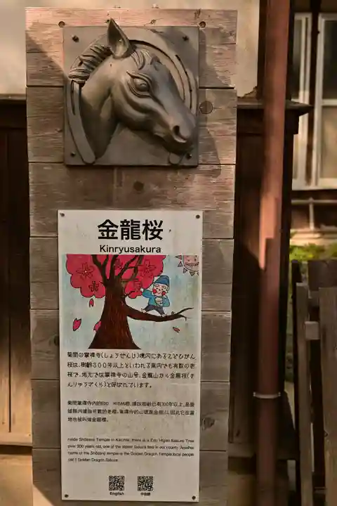 掌禅寺(愛媛県)