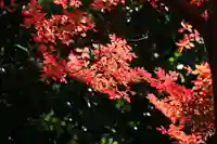 豊景神社の庭園