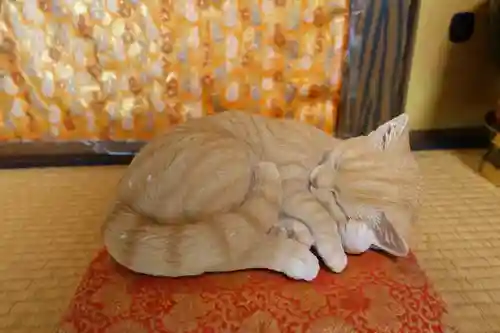猫猫寺の動物
