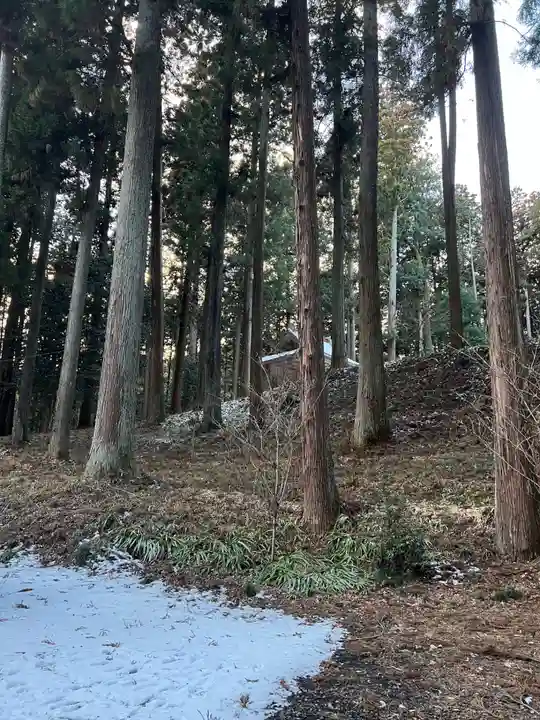 大宮温泉神社(栃木県)