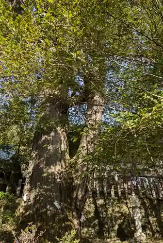 敢國神社(三重県)