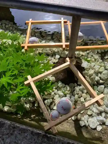 亀田八幡宮の手水舎