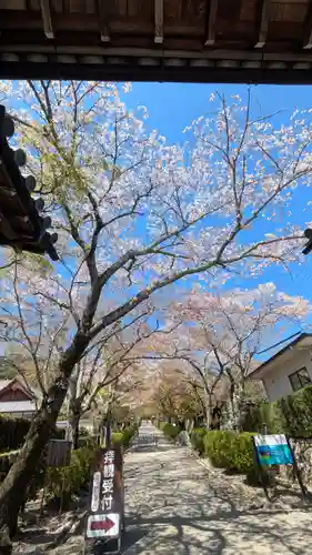 西教寺(滋賀県)