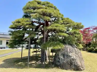高巌寺(福島県)