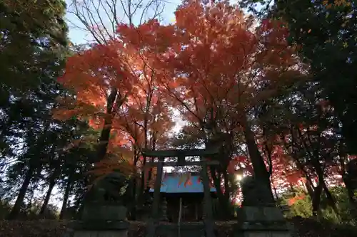 國祖神社の鳥居