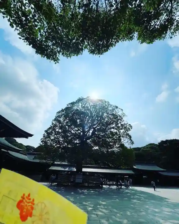 明治神宮(東京都)