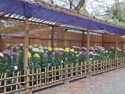 靖國神社の芸術
