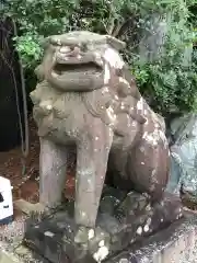 荒井神社の狛犬