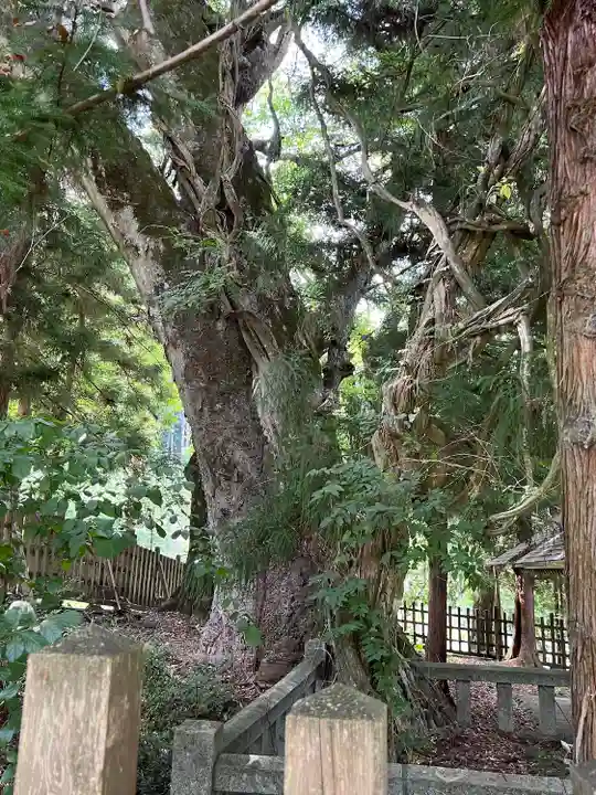 諏訪大社上社前宮(長野県)