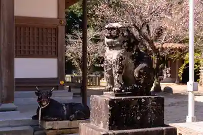 深江神社(福岡県)