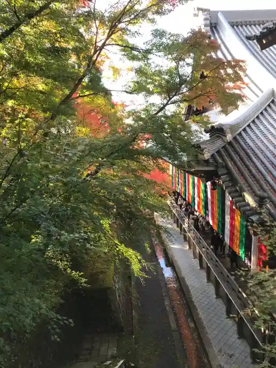 禅林寺(永観堂)の本殿・本堂