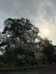 簳幹八幡宮(東京都)