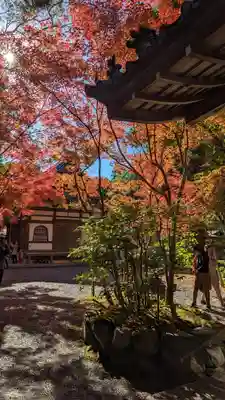 赤山禅院(京都府)