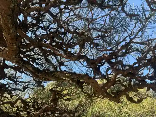 妙昌寺の{uncategorized: "未分類", other: "その他", undefined: "問題あり", building: "その他建物", grave: "お墓", sacred_gate: "鳥居", guardian: "狛犬", statue: "像", buddha: "仏像", history: "歴史", nature: "自然", garden: "庭園", animal: "動物", pagoda: "塔", temizu: "手水舎", mountain_gate: "山門・神門", sanctuary: "本殿・本堂", subordinate: "末社・摂社", art: "芸術", scenery: "景色", jizo: "地蔵", ema: "絵馬", goshuin: "御朱印", omikuji: "おみくじ", items: "授与品その他", amulet: "お守り", goshuincho: "御朱印帳", eats: "食事", festival: "お祭り", votive_dance: "神楽", shichigosan: "七五三参", wedding: "結婚式", experience: "体験その他", initially: "初詣", around: "周辺", anti_infection: "感染症対策"}