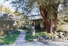 崇禅寺の庭園