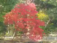 鶴岡八幡宮の自然