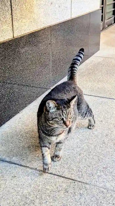 白金氷川神社の動物