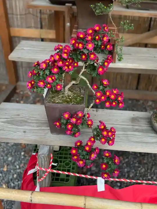 諏訪大社下社秋宮(長野県)