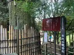 水澤寺(水澤観世音)の自然