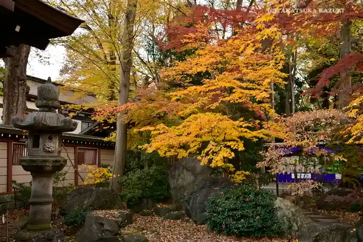 大國魂神社のその他建物