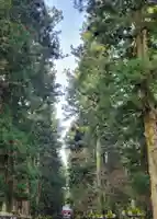 北口本宮冨士浅間神社の自然