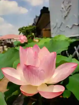 長善寺(東京都)