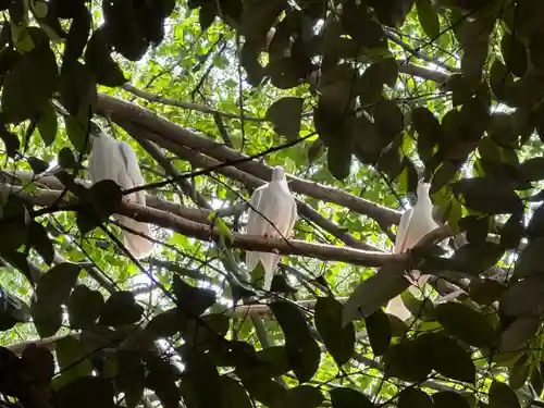 靖國神社(東京都)