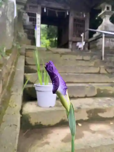 彦嶽宮(熊本県)