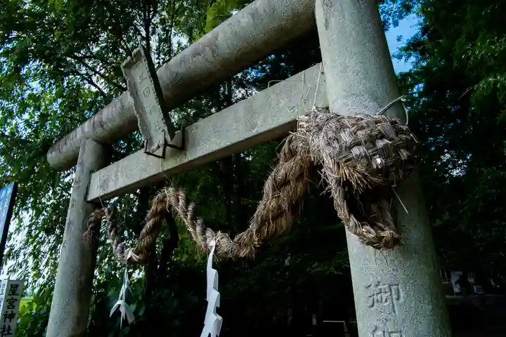 下野 星宮神社の鳥居
