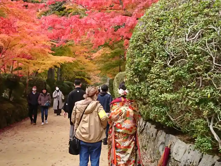 壇上伽藍の周辺
