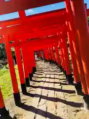 高屋敷稲荷神社の鳥居