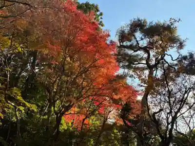 詩仙堂（丈山寺）(京都府)
