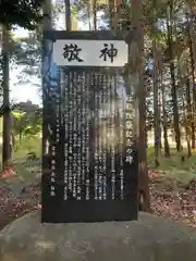 天形星神社の建物その他