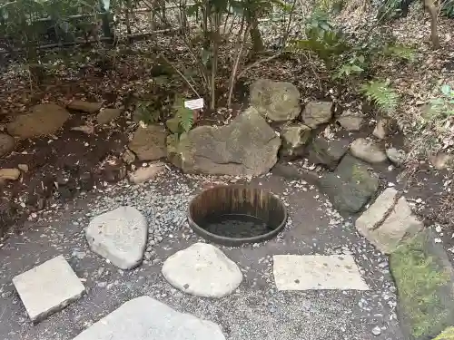 明治神宮(東京都)