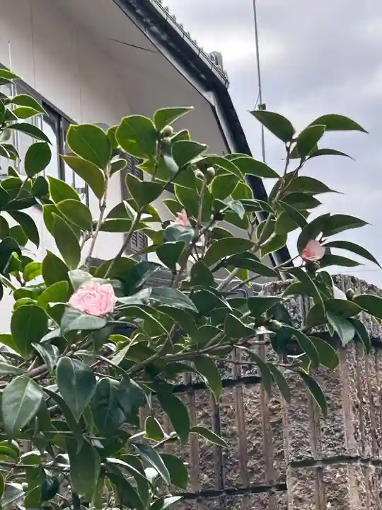 東光寺(長野県)