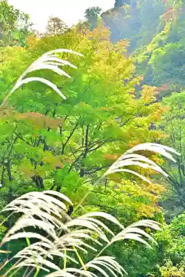 高龍神社　奥之院(新潟県)