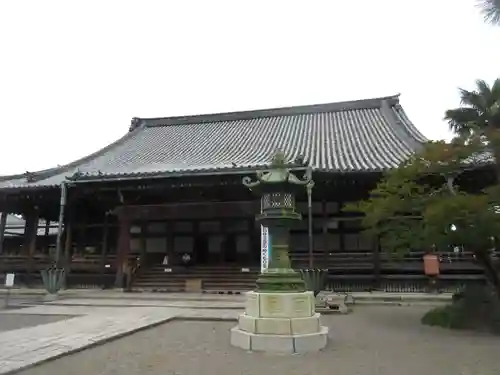大通寺（長浜御坊）の本殿・本堂
