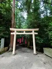 宝登山神社(埼玉県)