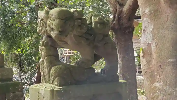 府馬愛宕神社の狛犬
