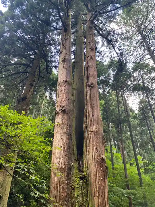 御岩神社の自然