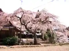 西光寺(奈良県)